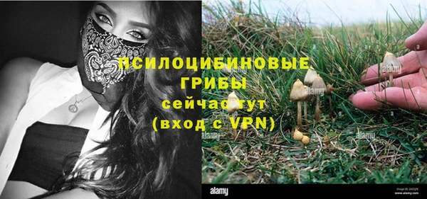 крисы Нефтекумск