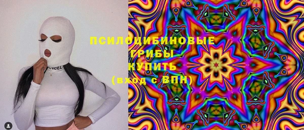 apvp Нея
