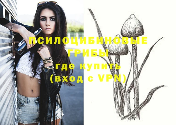 apvp Нея