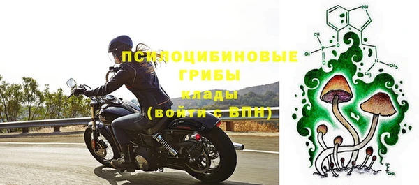 дурь Нефтегорск
