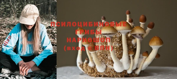 крисы Нефтекумск