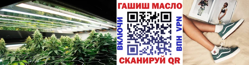 закладки  Чегем  omg рабочий сайт  ТГК Wax 